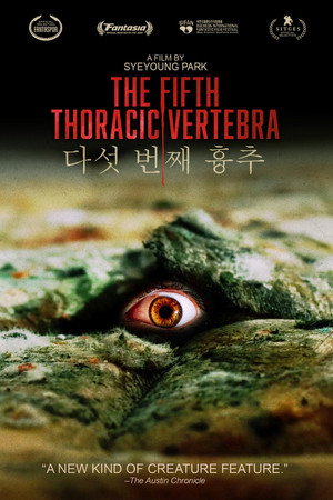 The Fifth Thoracic Vertebra 6