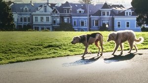 فيلم Homeward Bound II: Lost in San Francisco مدبلج عربي