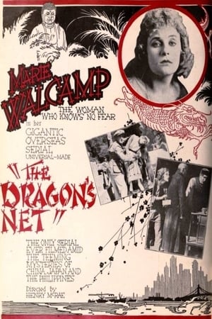 Poster The Dragon's Net (1920)