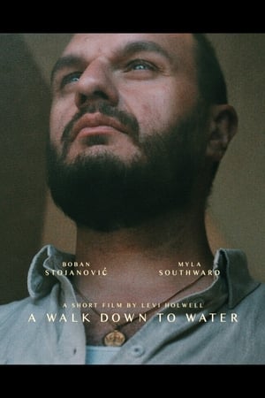 Poster A Walk Down to Water 2019