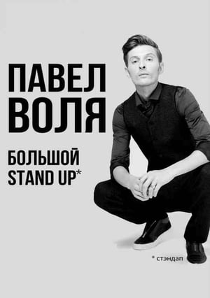 Poster Павел Воля: Большой Stand Up 2018 2018