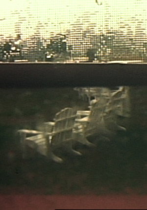 Group VIII: Hidden Tracings/Exposed Fragrances