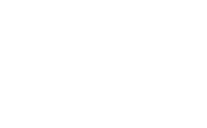 The Violin Player — Logos 1
