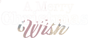 A Merry Christmas Wish
