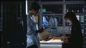 CSI: Miami 1 – Episodio 7