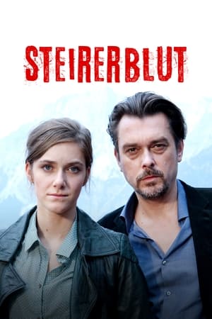 Poster Steirerblut 2013