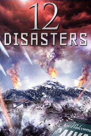 The 12 Disasters of Christmas poster