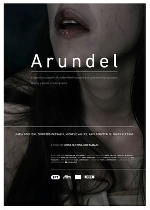 Poster Aroundel 2012
