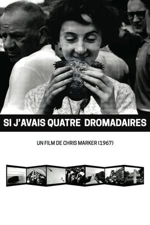 Poster Si j'avais quatre dromadaires 1966