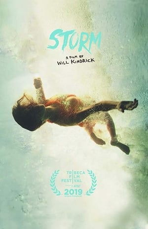 Poster Storm (2019)