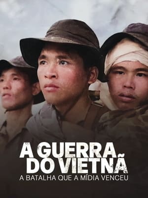 Poster A Guerra do Vietnam 2017