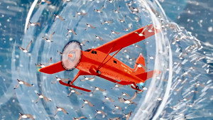 The Great Northern Candy Drop 1