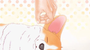 The Corgi and the Samurai: 1×4