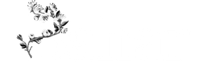 Bahar — Logos 7