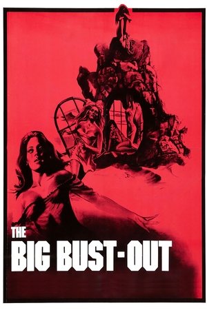 Poster The Big Bust Out (1972)