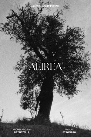 Alirea