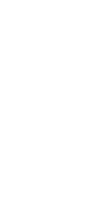 Phoenix Lands in the World — Logos 4