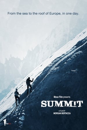 Poster Nico Valsesia - From Zero To Monte Bianco - Summit (2013)