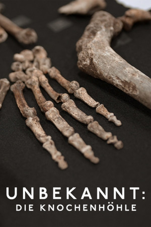 Unbekannt: Die Knochenhöhle
