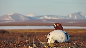 America's National Parks Gates of the Arctic