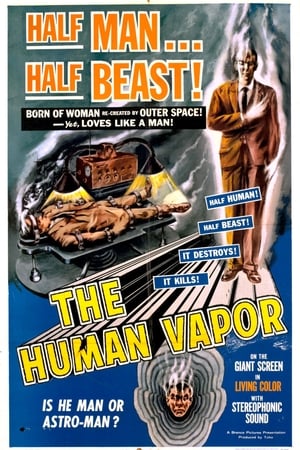 Poster The Human Vapor 1960