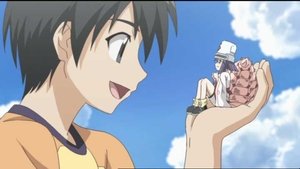 Seto no Hanayome: 1×3