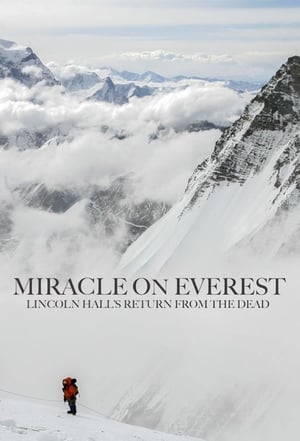 Poster Miracle on Everest 2008