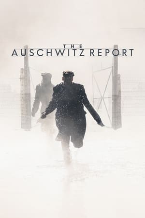 Poster The Auschwitz Report (2021)