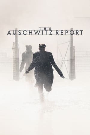 Image The Auschwitz Report