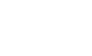 The Great St. Louis Bank Robbery