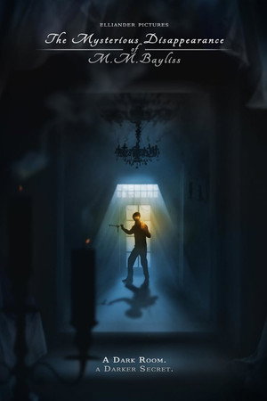 The Mysterious Disappearance of M.M. Bayliss (2013)
