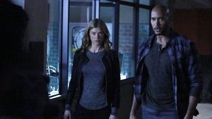 Marvel’s Agents of S.H.I.E.L.D.: 2 Staffel 12 Folge