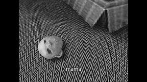 David Lynch Theater Presents: Short Films The Adventures of Allan R.