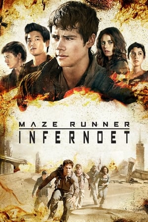 Poster Maze Runner: Infernoet 2015