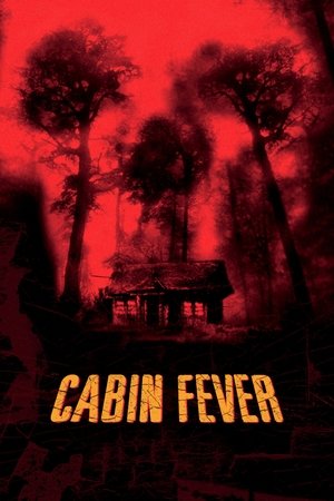 Poster Cabin Fever 2003