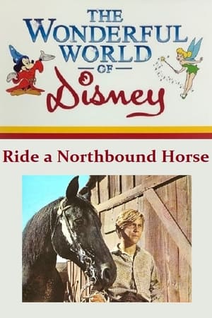 Poster Ride a Northbound Horse 1969