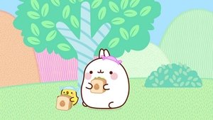 Molang: 4×48