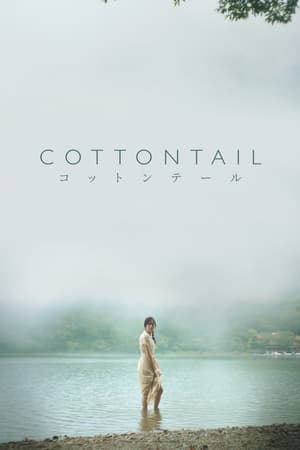 Poster Cottontail (2024)