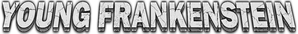 Young Frankenstein — Logos 11