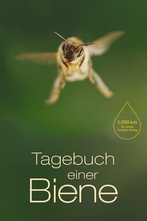 Poster Tagebuch einer Biene 2021