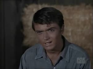 Bonanza The Reluctant Rebel