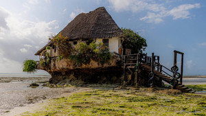 Couldn't believe my eyes