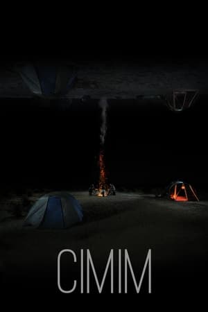 Poster CIMIM (2022)