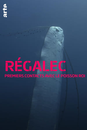 Poster Régalec, premiers contacts avec le poisson roi 2019