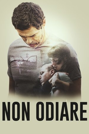 Poster di Non odiare