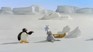 Pingu Pinga's Lost Rabbit