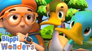 Blippi Wonders Sink or Float With Ducks!