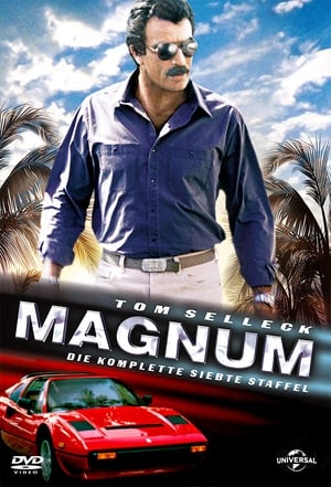Magnum - Saison 7 - poster n°3