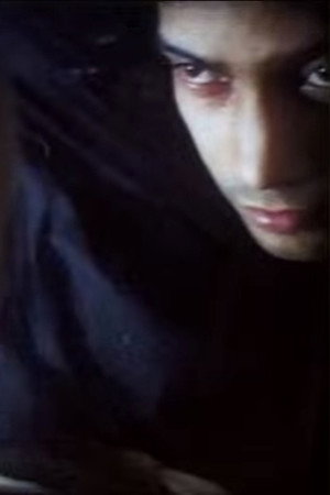 Ladyman 2