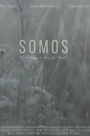 Poster di Somos